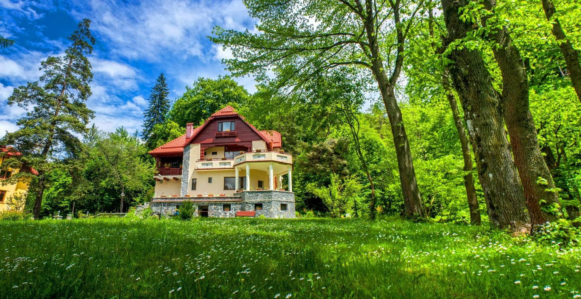 Pensiunea Boema Синая Екстериор снимка